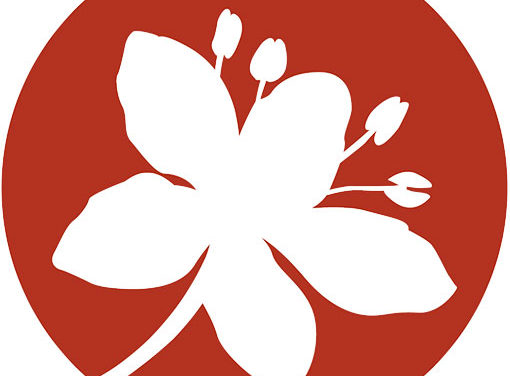 Pâturage sous noyeraie – Retour sur la mise en place d&rsquo;un nouveau partenariat entre éleveurs et nuciculteurs