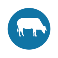 Fiche technique FiBL suisse: Mise à mort à la ferme et au pré pour la production de viande