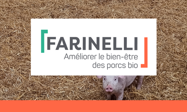 Alternatives à la castration des porcs bio – Projet CASDAR Farinelli