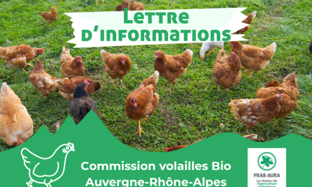 Lettre d’information de la commission régionale volailles bio de novembre 2024.