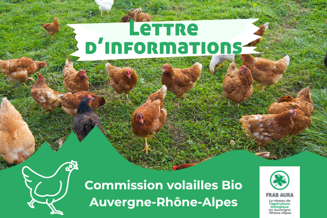 Lettre d’information de la commission régionale volailles bio de novembre 2024.