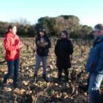 INFO VITICULTURE : Voyage d'étude dans les Pays de la Loire les 23, 24 et 25 février 2026
