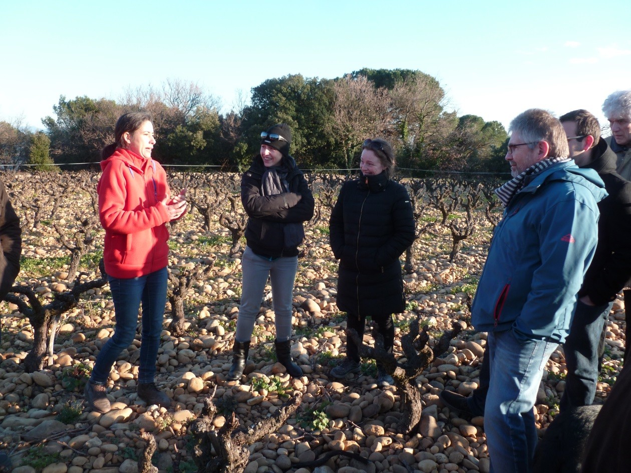 INFO VITICULTURE : Voyage d'étude dans les Pays de la Loire les 23, 24 et 25 février 2026