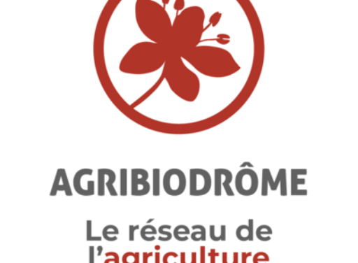[Recherche STAGIAIRE Pôle VITI] stage de 6 mois