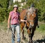 Traction animale en maraîchage : concevoir ses itinéraires techniques