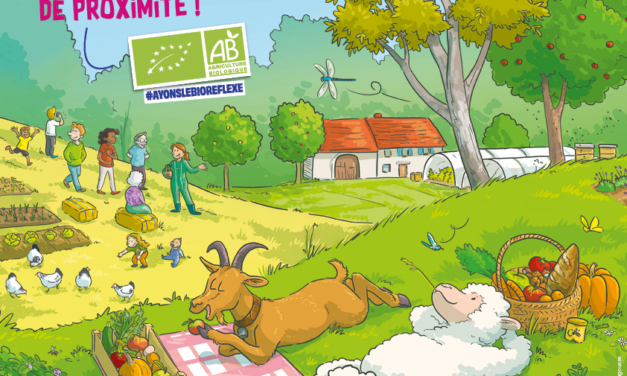 Producteurs et productrices bio : développez vos circuits courts en organisant un événement durant la campagne « Manger Bio et Local, c’est l’idéal »