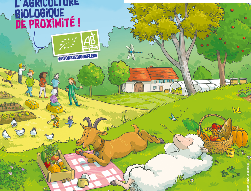 Producteurs et productrices bio : développez vos circuits courts en organisant un événement durant la campagne « Manger Bio et Local, c’est l’idéal »