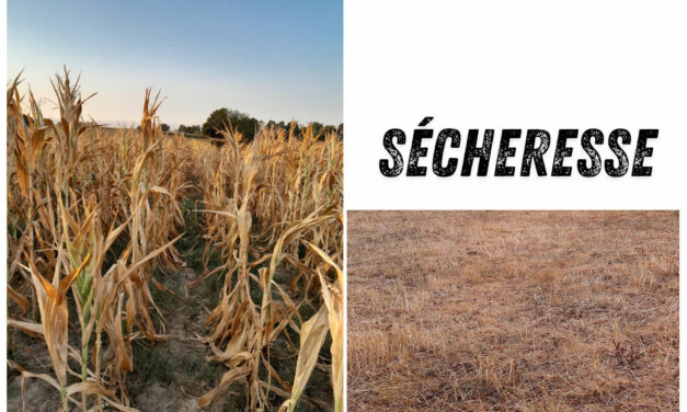 Signalement pertes de récolte suite à un aléa climatique (gel, sècheresse, grèle, …)