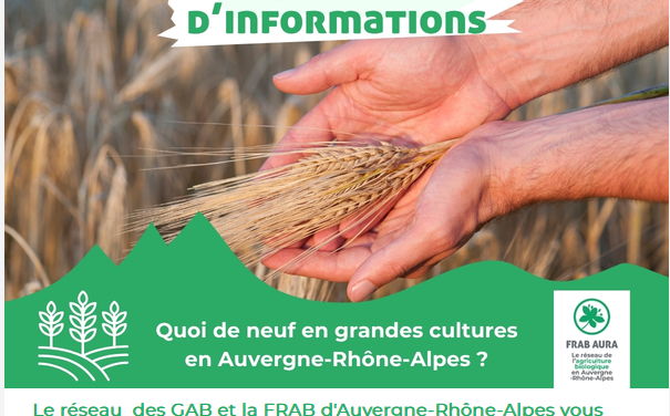 [Grandes cultures] Les actualités grandes cultures de la FRAB AuRA